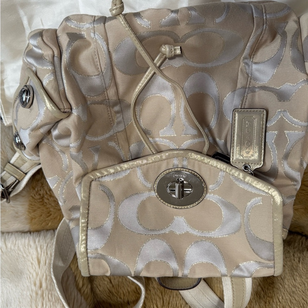 Coach Beige and Silver Women's Bag